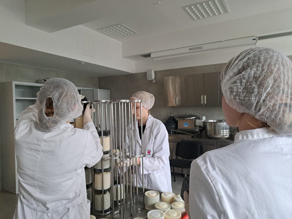 PROIZVODNJA MEKANOG KRAVLJEG SIRA U MLJEKARSKOM PRAKTIKUMU 🥛 img 20261009 wa0019