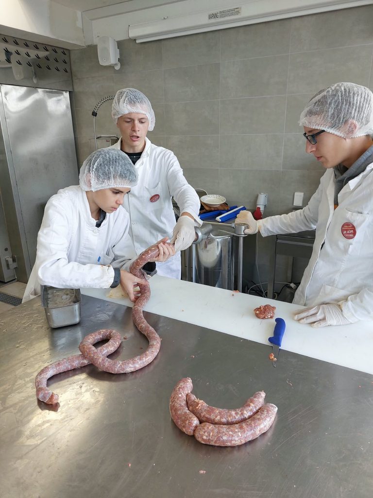 PRIČE IZ MESARSKOG PRAKTIKUMA 🥩😃🥓 img 20261014 wa0006