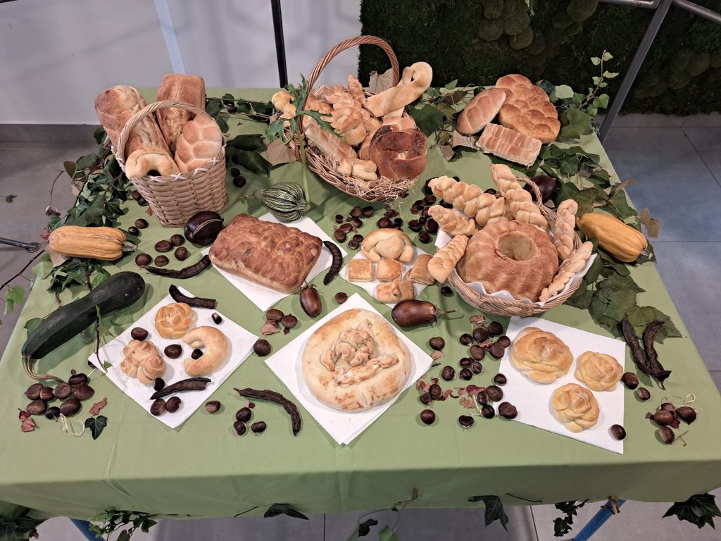 OBILJEŽILI SMO SVJETSKI DAN HRANE I DANE KRUHA U NAŠOJ ŠKOLI! 🥨🍲 img 20261016 wa0012