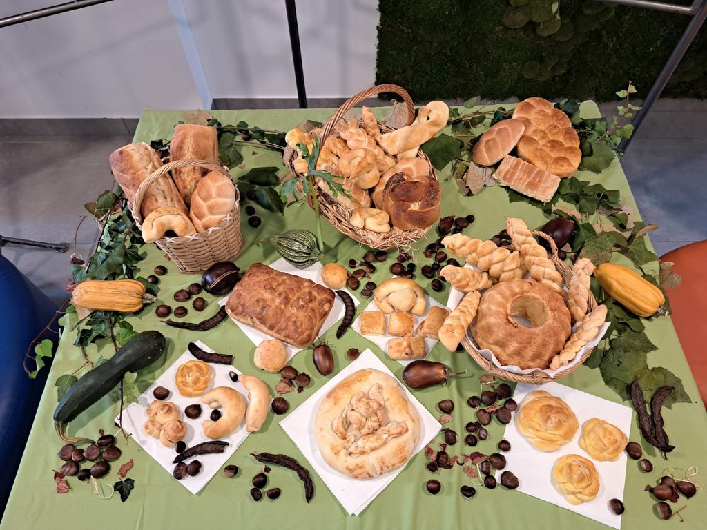 OBILJEŽILI SMO SVJETSKI DAN HRANE I DANE KRUHA U NAŠOJ ŠKOLI! 🥨🍲 img 20261016 wa0014